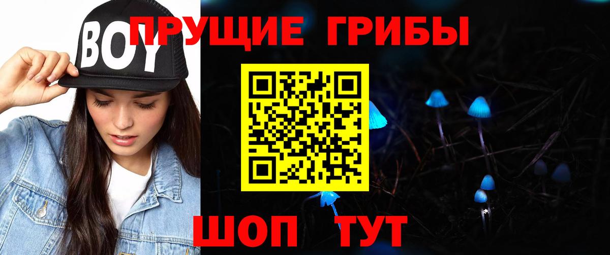 Сегежа  Псилоцибиновые грибы ЛСД  дарнет шоп  Вход с VPN 
